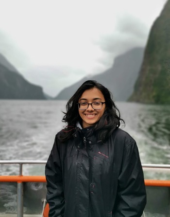 At Milford Sound,NZ